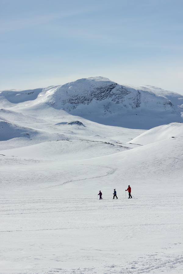 Bygdin Hoyfjellshotell Beitostolen Exterior foto